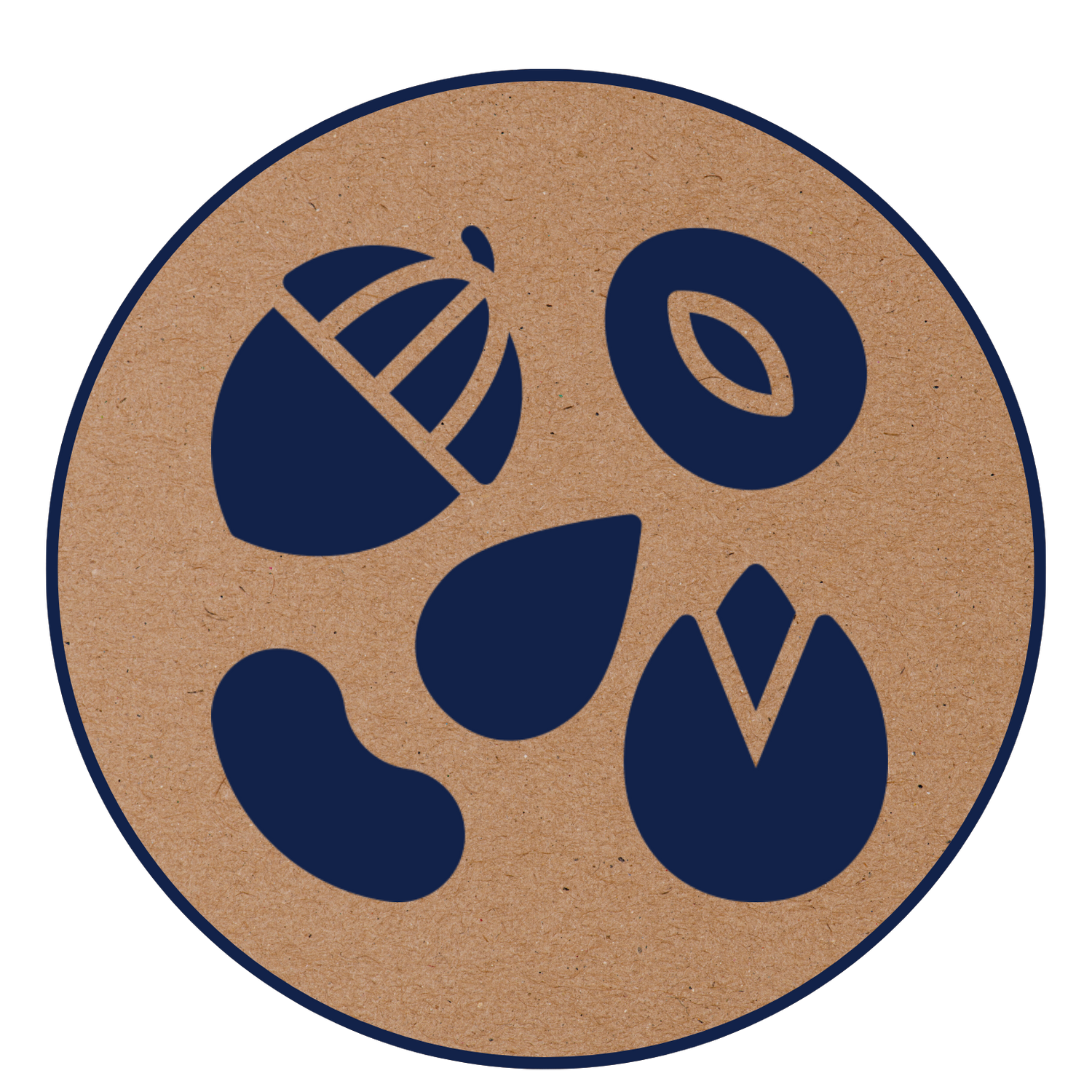 Dry Fruits